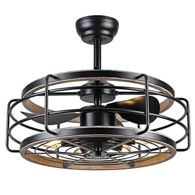 Buy Asyko Caged Ceiling Fan with Lights Remote Control，Black Modern ...