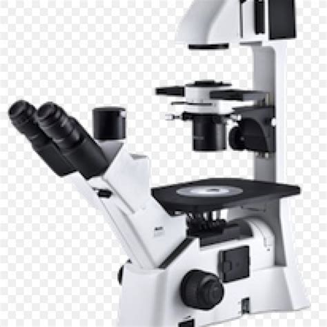 Inverted Microscope Phase Contrast Microscopy Optical Microscope Stereo Microscope, PNG ...