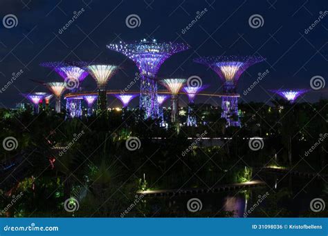 Gardens by the Bay at Night Stock Photo - Image of modern, scene: 31098036