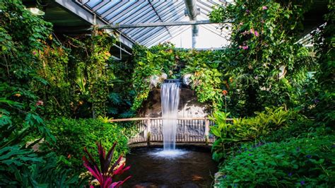 Cambridge Butterfly Conservatory - Cambridge, Ontario - YouTube