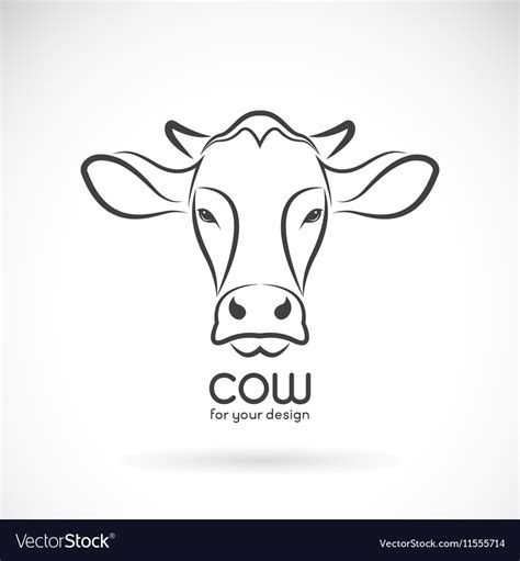 Cow face Royalty Free Vector Image - VectorStock