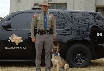 Texas DPS K-9 Trooper | Texas, Trooper, Hospital