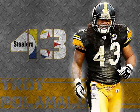 Troy Polamalu Wallpapers - Top Free Troy Polamalu Backgrounds - WallpaperAccess