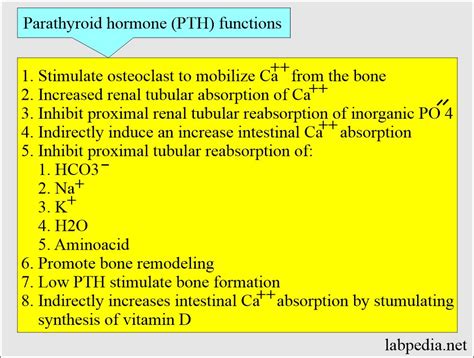 Parathyroid Gland Function