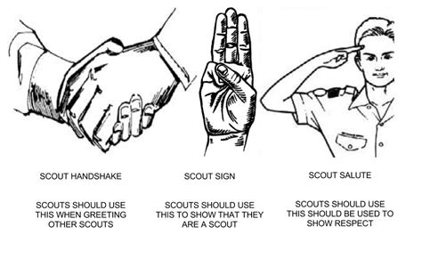 Everything a New Boy Scout Needs to Know - Path To Eagle