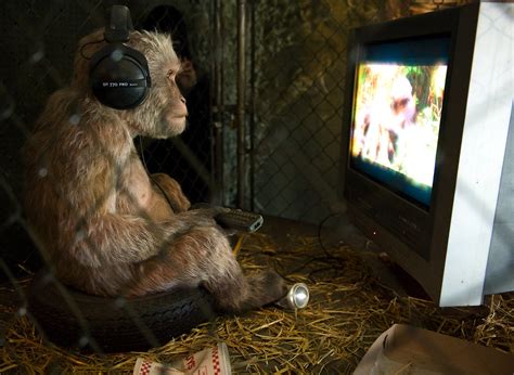 Monkey watching monkey documentary | This (animatronic) monk… | Flickr