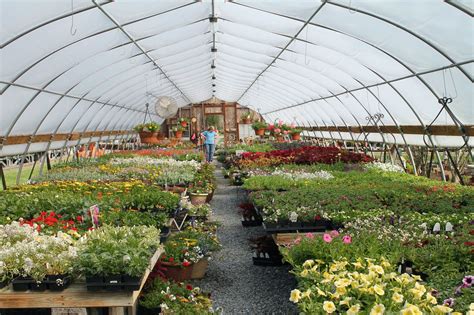 A Complete Guide To Marketing Strategy For Plant Nursery - Welp Magazine