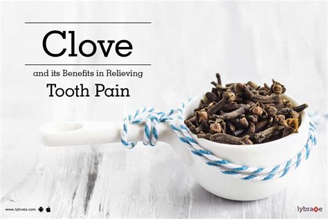 Clove and its Benefits in Relieving Tooth Pain - By Dr. Kedar Upadhyay | Lybrate | Tooth pain ...