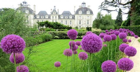 Parc du Château de Cheverny | Parcs et Jardins en Région Centre