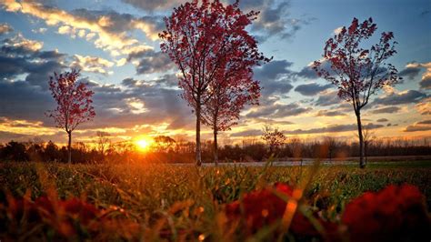 Autumn Sunset Wallpapers - Top Free Autumn Sunset Backgrounds ...