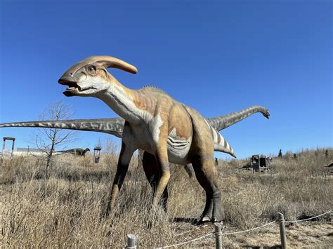 What to expect at Field Station: Dinosaurs - The dinosaur adventure park in Derby, KS | Wichita ...