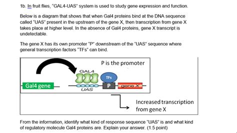 Solved In fruit flies, “GAL4-UAS” system is used to study | Chegg.com