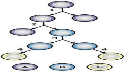 Cell potency of different types of stem cells. | Download Scientific Diagram