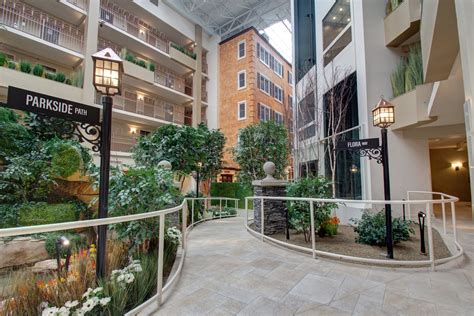 Indoor Atrium Trees & Plants at Senior Living Community | TreeScapes ...