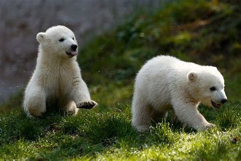 Pictures of the Week: Best Photos of Past Seven Days