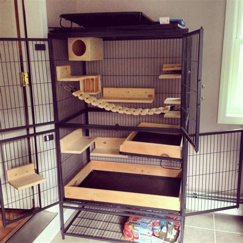 Cheerio's cage is finally done. Just need a new wheel. | Chinchilla ...