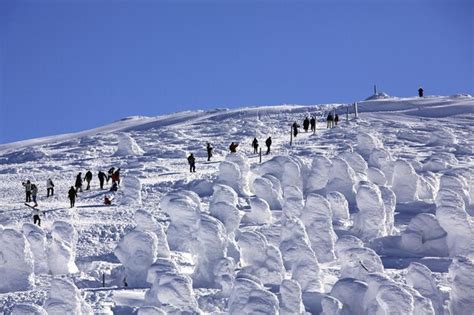 Premium Photo | Hikers amidst magnificent ice sculpture