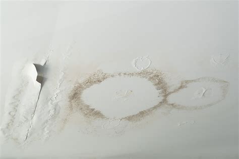 A Roof Leak Is Causing Water Stains on My Ceiling (Prevent Damage)