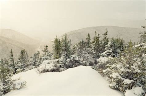 Cape Breton Highlands National Park | Winter cabin, Getaway cabins, Cape breton