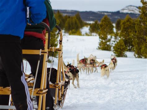 9 Don't Miss Dog Sled Rides | Travel Channel Blog: Roam | Travel Channel