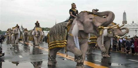 Why Elephant is the Symbol of Thailand? • Support Wild