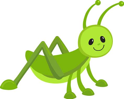 Grasshopper clipart primary consumer, Grasshopper primary consumer ...