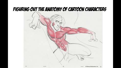 Figuring Out the Anatomy of Cartoon Characters - YouTube