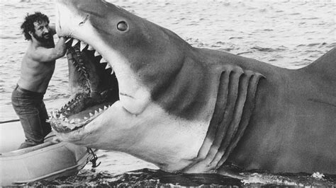 10 Things You (Probably) Didn't Know About 'Bruce' The Shark From Jaws ...