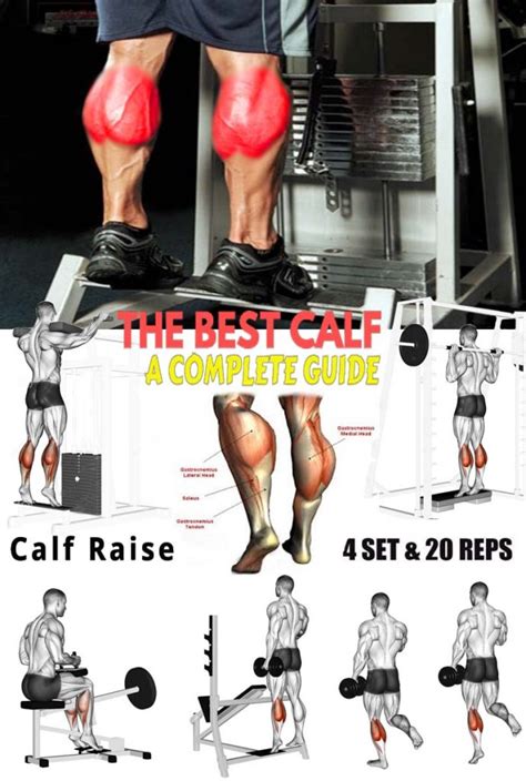 Calf Raise Variations: Types, Benefits & Guide Exercises