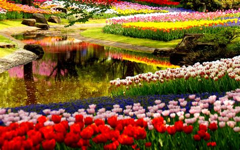 Garden Wallpapers | Best Wallpapers