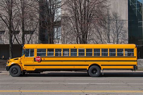 2,000+ School Bus Side View Stock Photos, Pictures & Royalty-Free ...