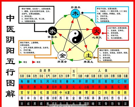 阴阳五行八卦与中国历史文化-