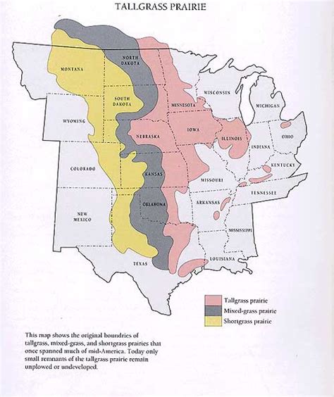 Grasslands Map