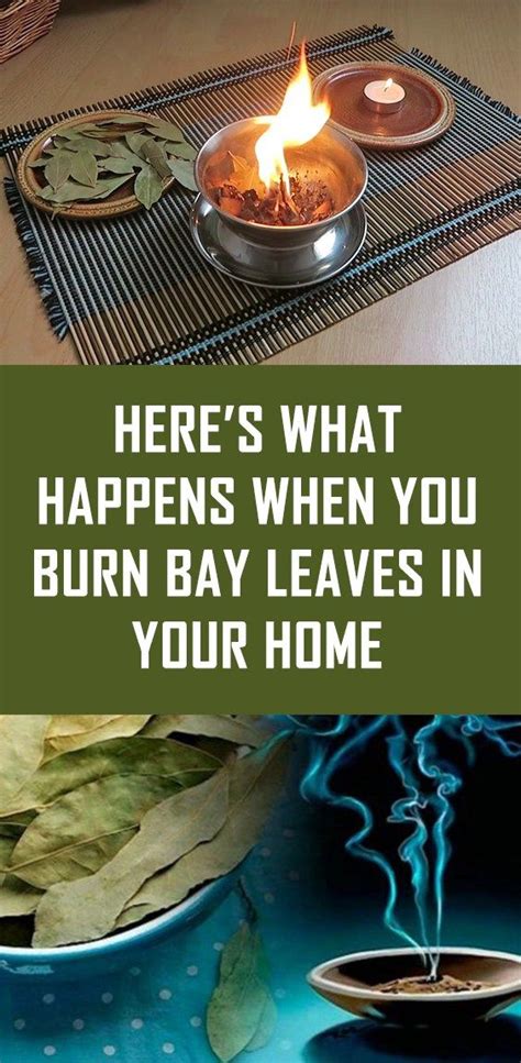 Here’s What Happens When You Burn Bay Leaves in Your Home | Burning bay ...