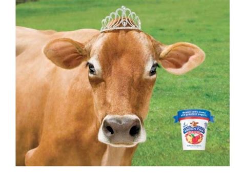 Brown Cow Farm - about.spud.com