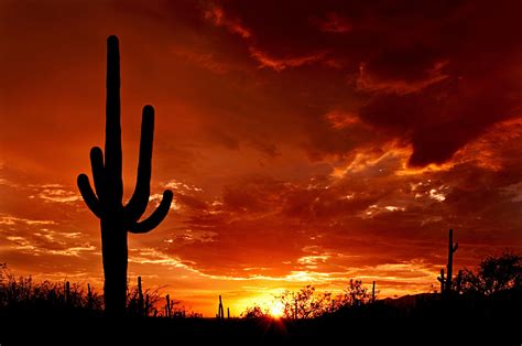 Tucson Arizona Wallpapers - Top Free Tucson Arizona Backgrounds ...