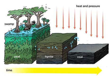 Coal - Definition, Formation, Mining & Uses | Chemistry | Byju's