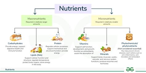 Nutrients - Types and Functions of Nutrients - GeeksforGeeks