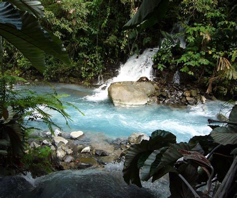 BLUE RIVER RESORT & HOT SPRINGS $88 ($̶1̶2̶8̶) - Updated 2021 Prices & Reviews - Costa Rica ...