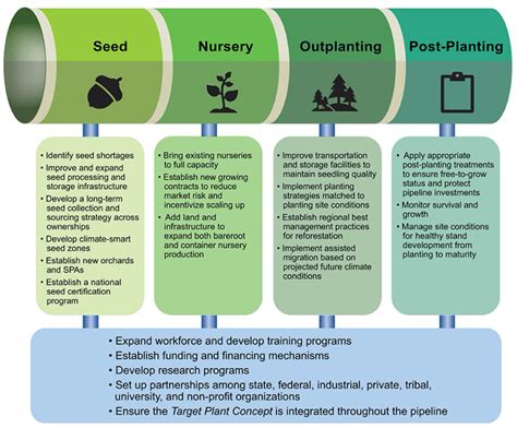 Seeing the Forest for the Seedlings: Challenges and Opportunities in the Effort to Reforest ...