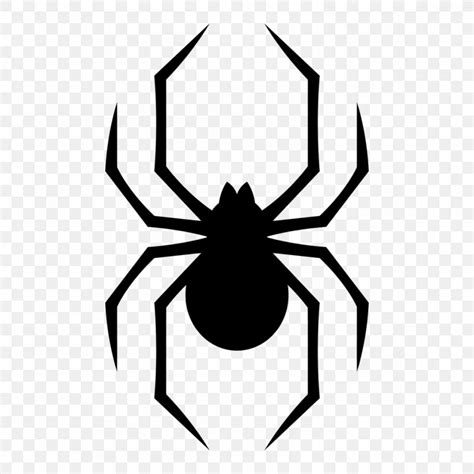 Spider Southern Black Widow Vector Graphics Stock Photography ...