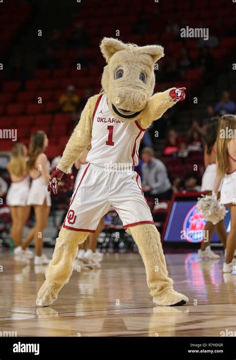 Basketball mascot hi-res stock photography and images - Alamy