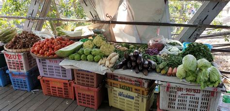 Photo report: Traditional agriculture in Myanmar (Burma) - Horti Generation