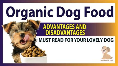 Advantages and disadvantages of Organic Dog Food by Dog Health Tips - Issuu