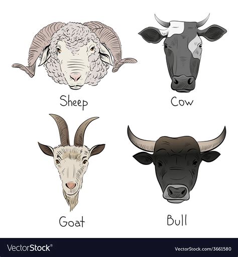 Drawing farm animals set Royalty Free Vector Image