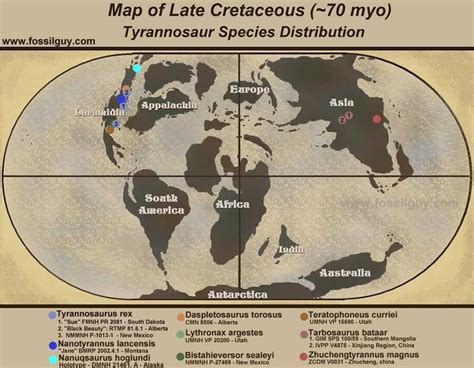 Fossilguy.com: Types of Tyrannosaur Dinosaurs and Origins of T. Rex