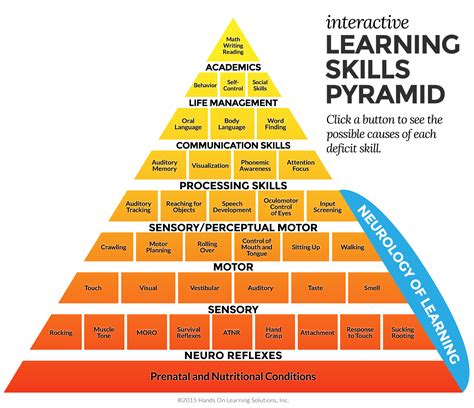 Learning Pyramid Printable Classroom Posters Lifecycle Of A Frog | The Best Porn Website