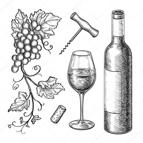 Albums 103+ Pictures Drawing Of A Wine Bottle Superb