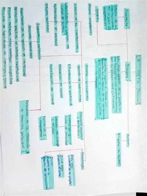 La Meta Pelicula - Mapa Conceptual | PDF