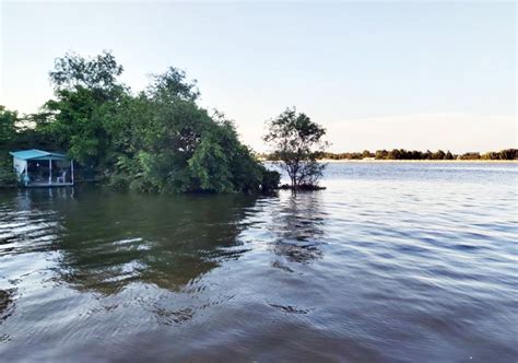 Saigon River tour - The Saigon Times